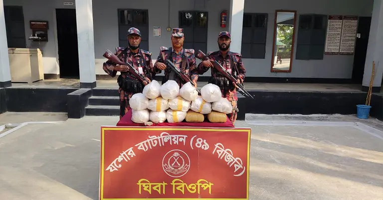 জব্দ করা গাঁজাসহ বিজিবি